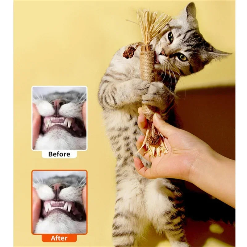 Pet Toy Natural Matatabi