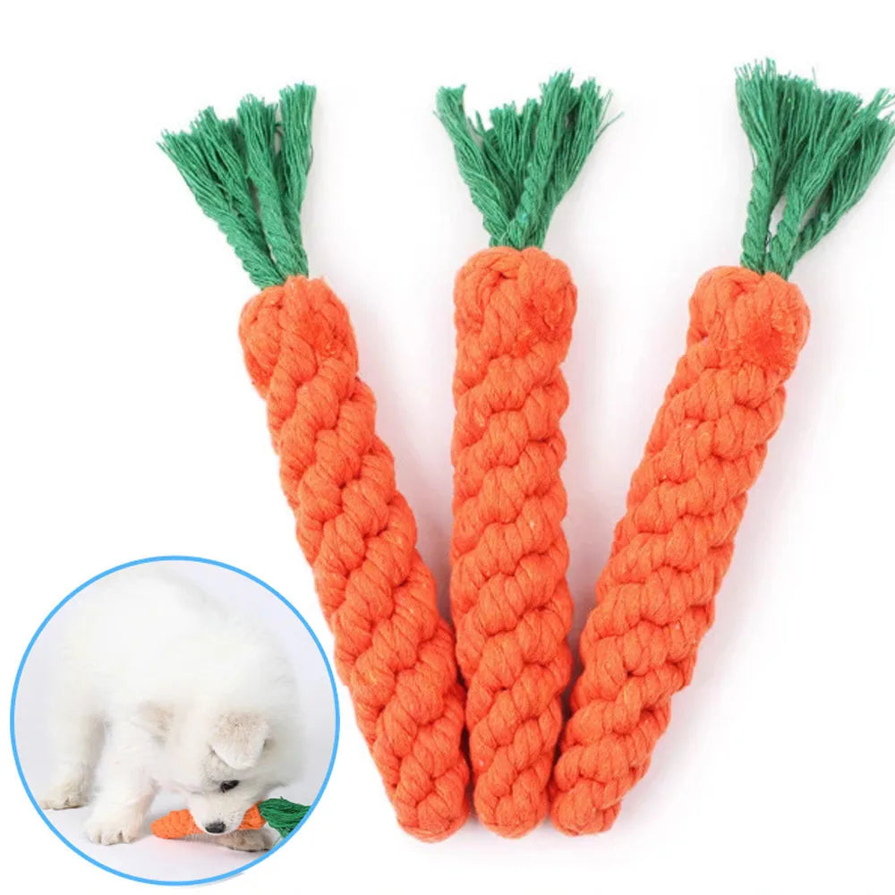Wicker Chew Toy for Dogs