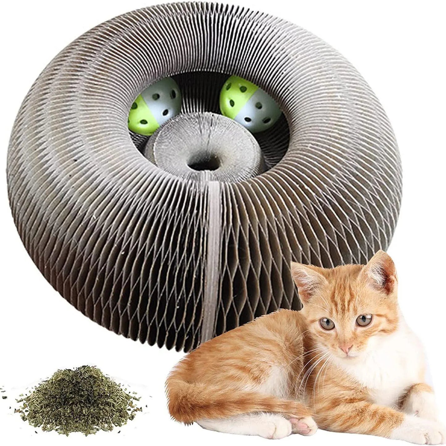 Magic Cat Scratch
