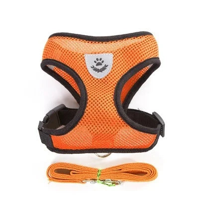 Harness with Lead Leash