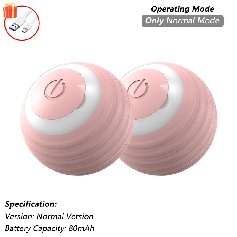 Interactive Ball Toy