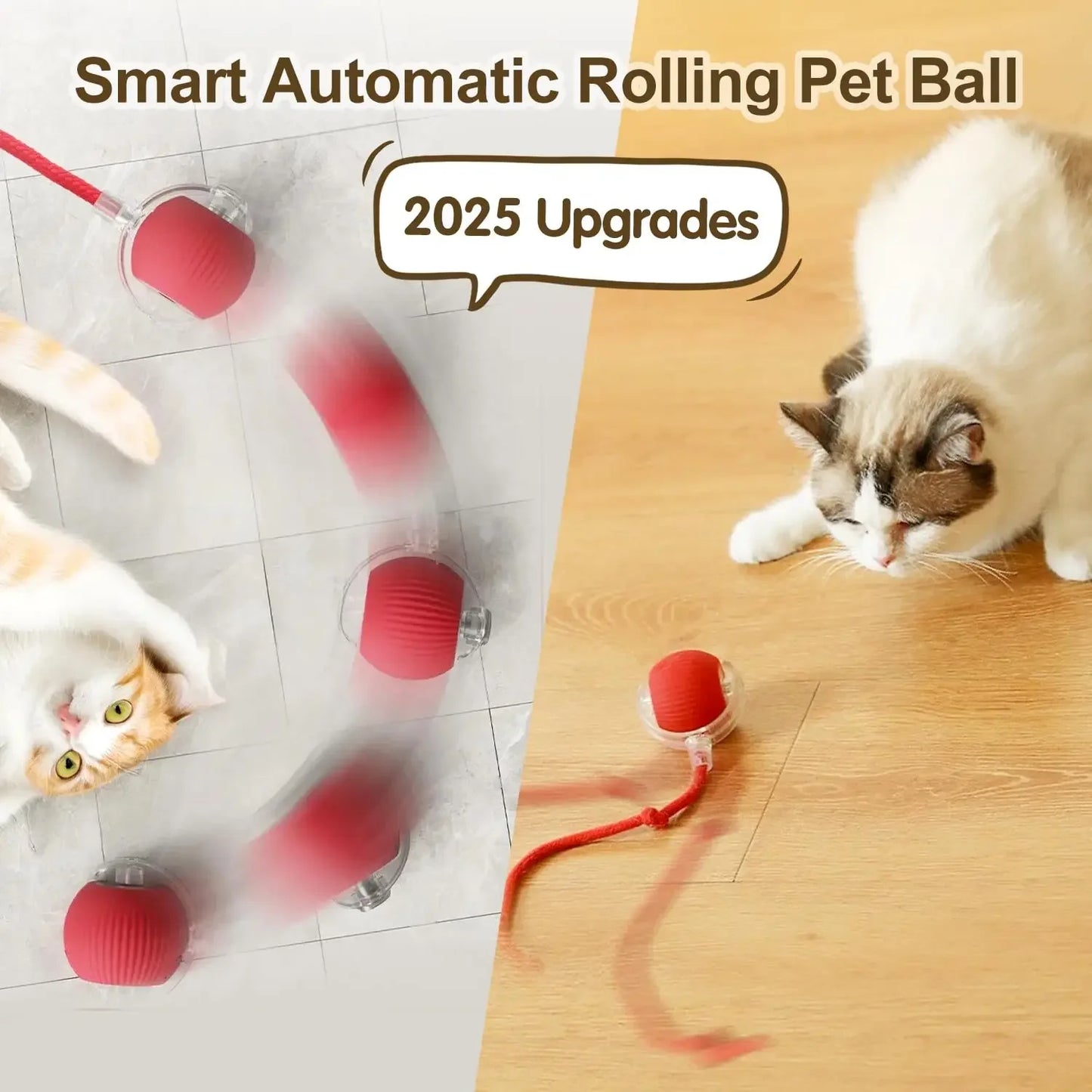 Interactive Ball Toy