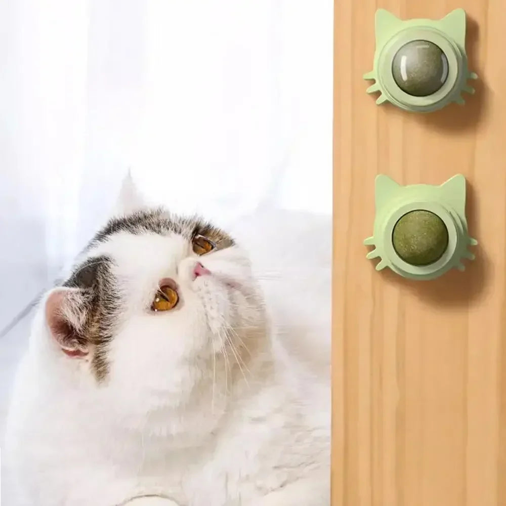 Catnip Balls Funny