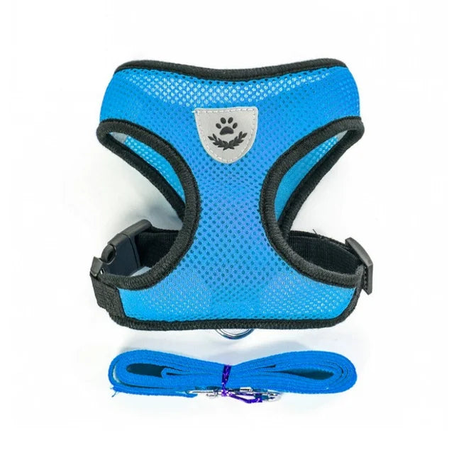 Harness with Lead Leash