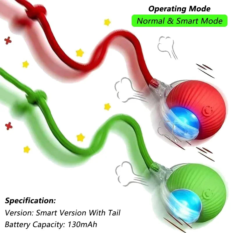Interactive Ball Toy