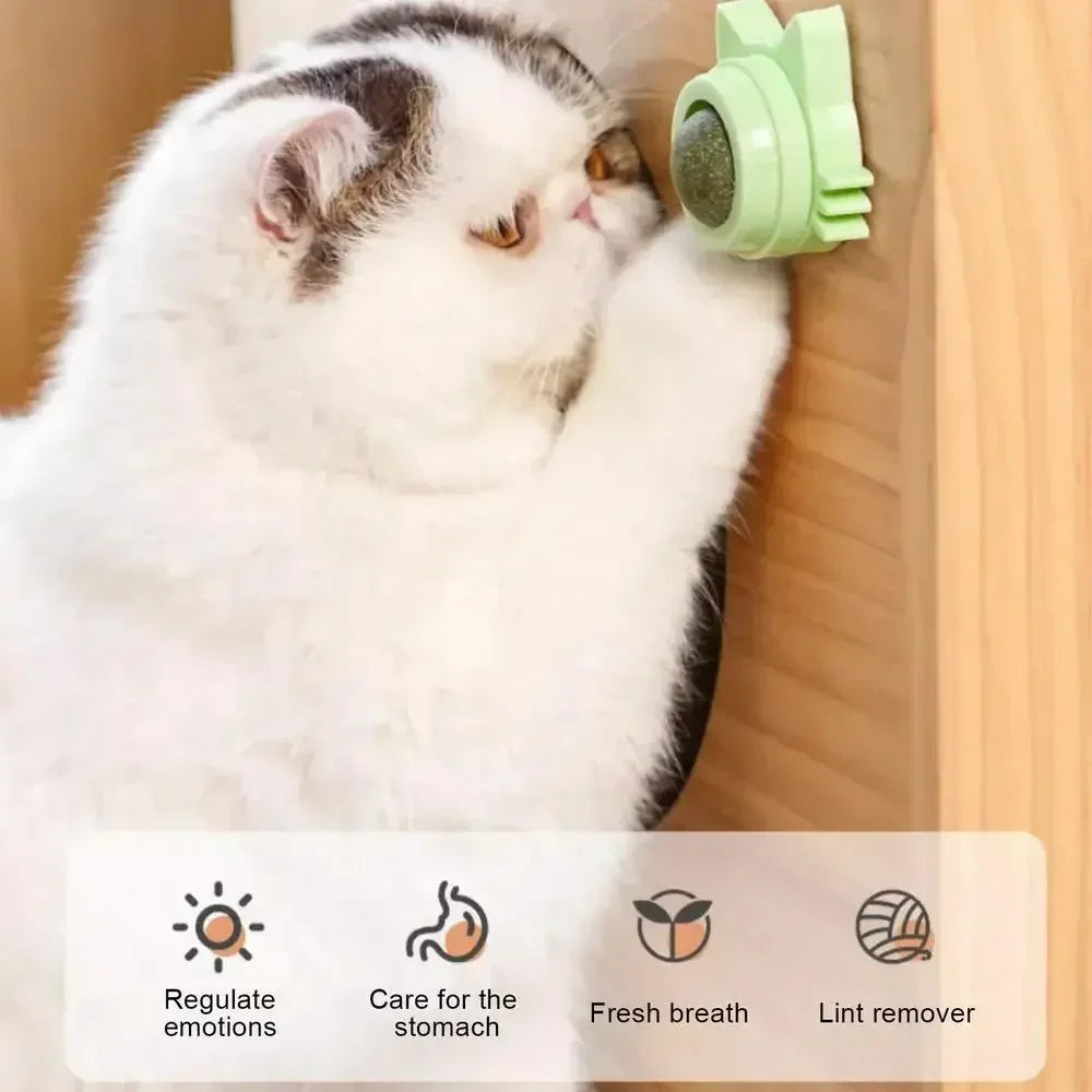 Catnip Balls Funny