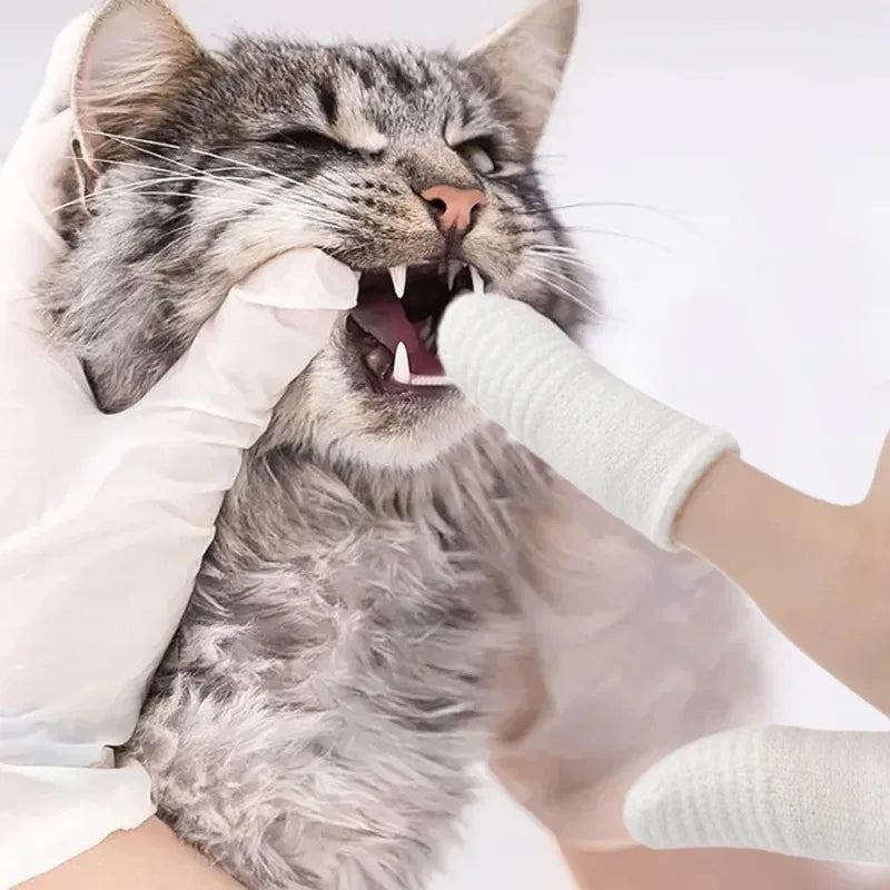 Pet  Finger Brushing Finger