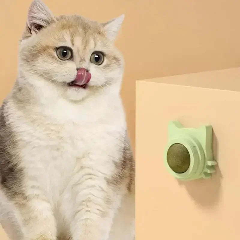 Catnip Balls Funny