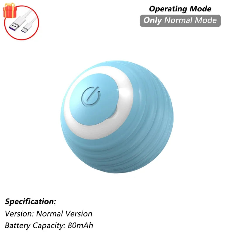 Interactive Ball Toy