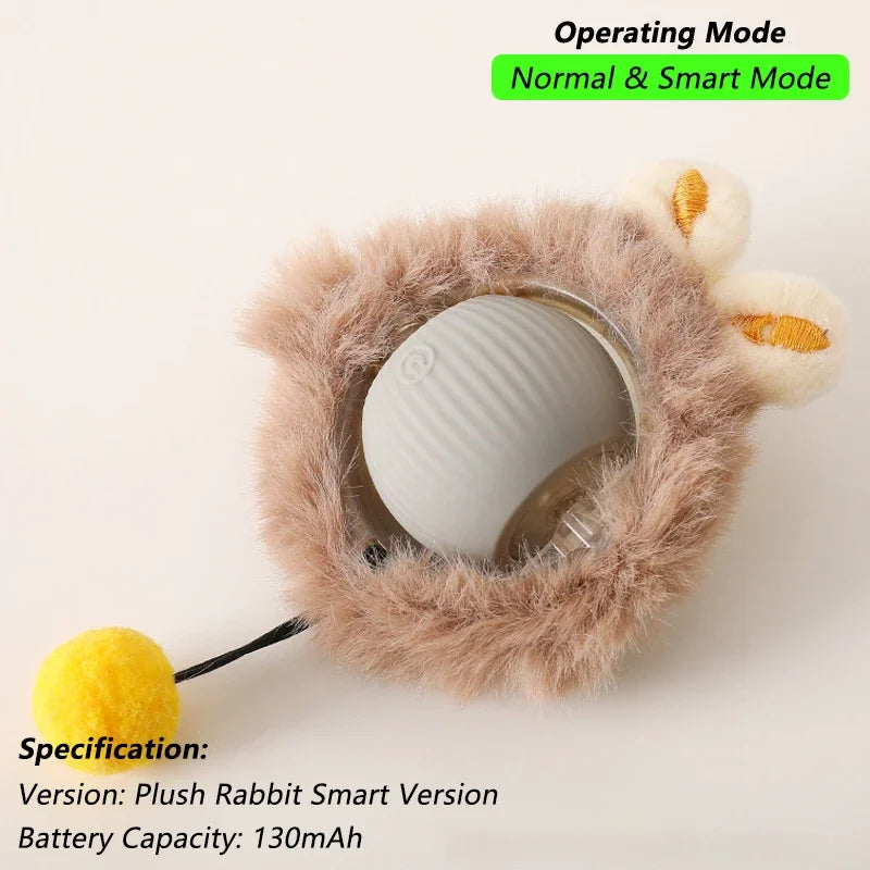 Interactive Ball Toy