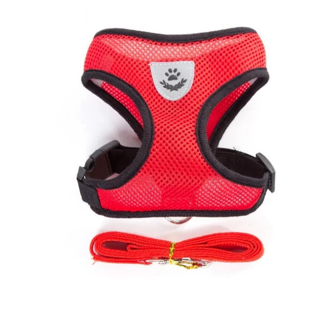 Harness with Lead Leash