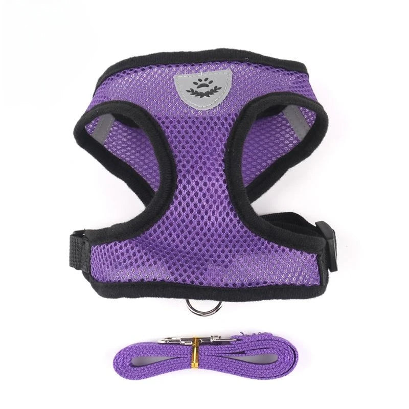 Harness with Lead Leash