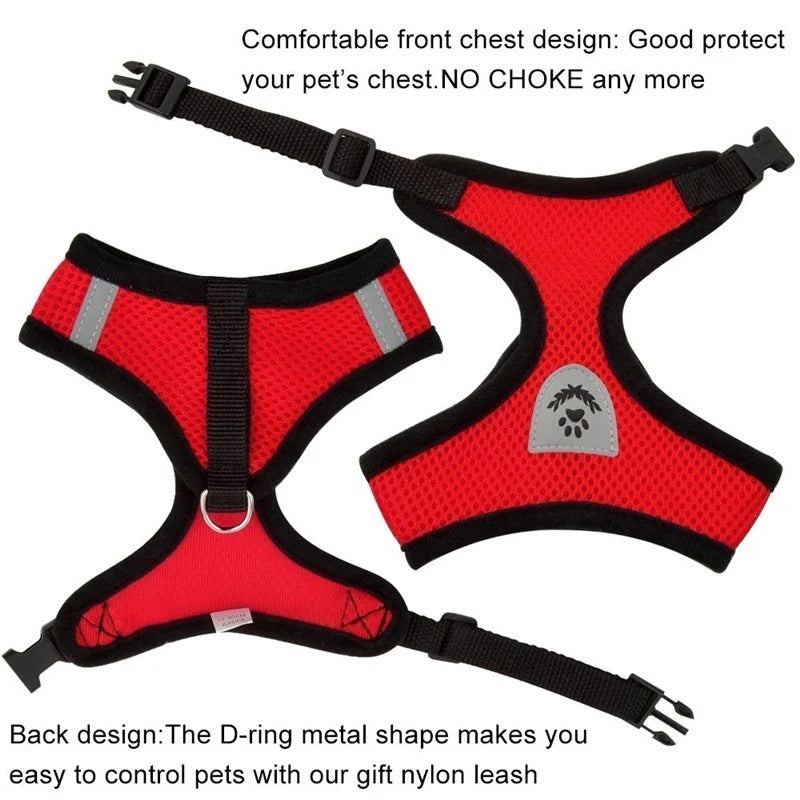 Harness with Lead Leash