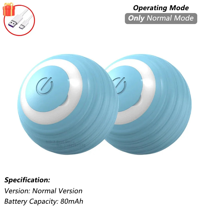 Interactive Ball Toy