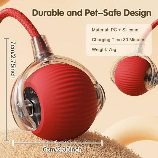 Interactive Ball Toy