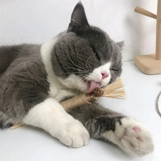 Pet Toy Natural Matatabi