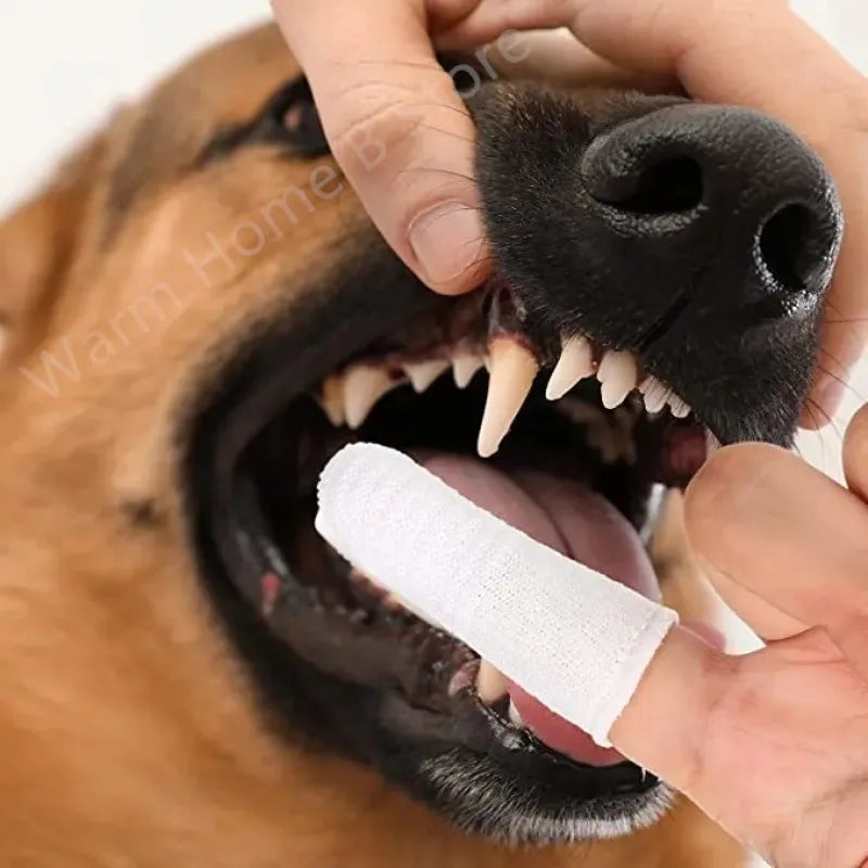 Pet  Finger Brushing Finger