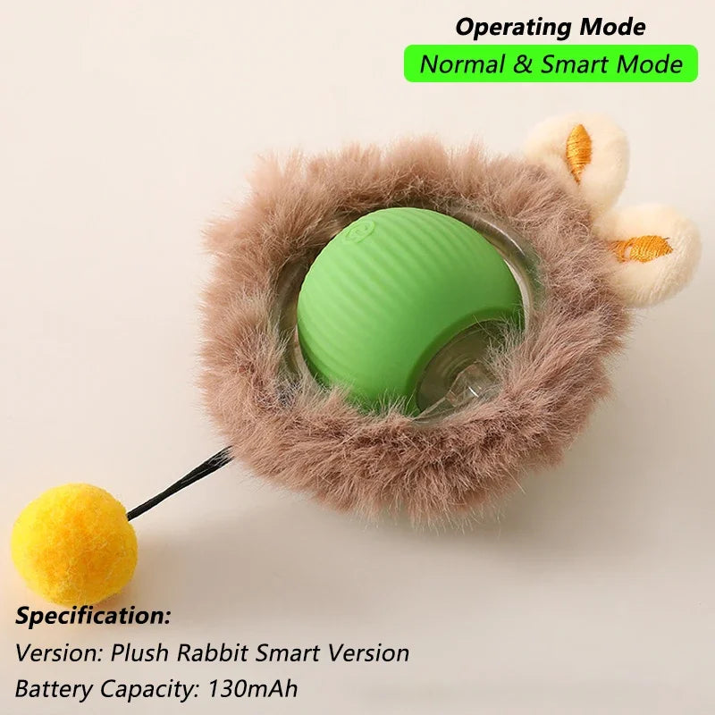 Interactive Ball Toy