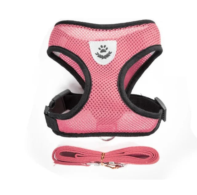 Harness with Lead Leash