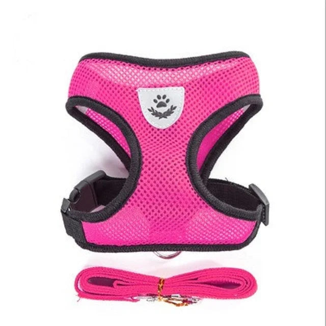 Harness with Lead Leash