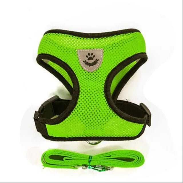 Harness with Lead Leash