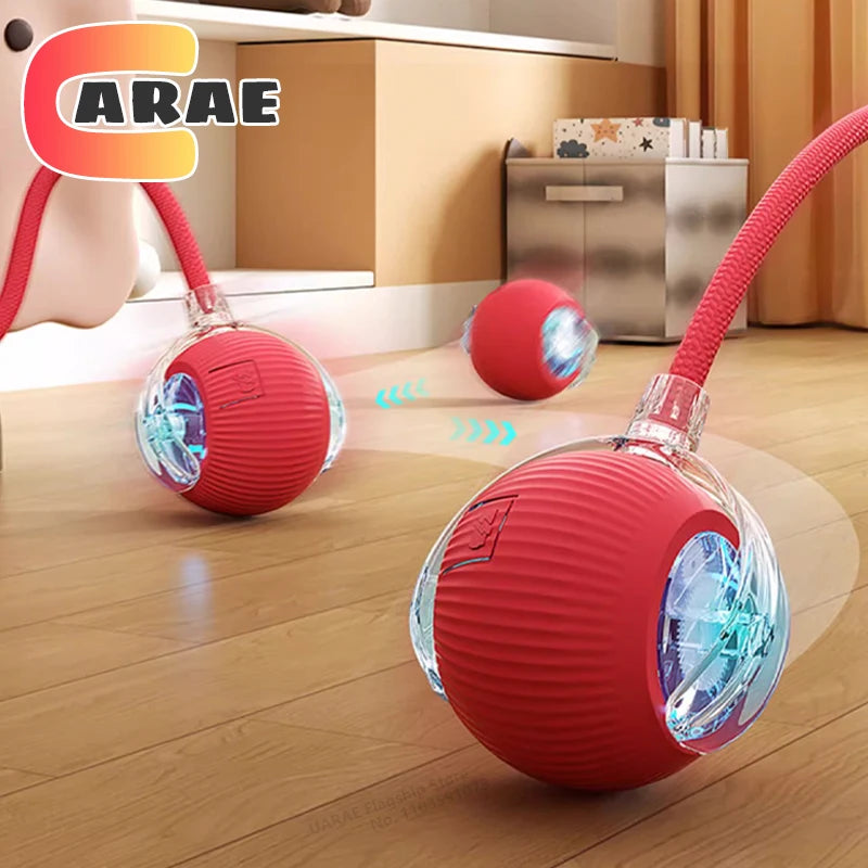 Interactive Ball Toy
