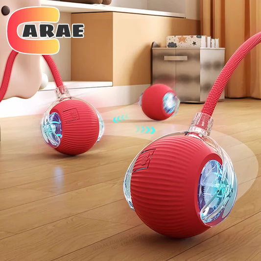 Interactive Ball Toy