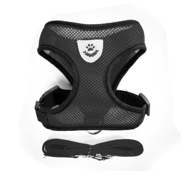 Harness with Lead Leash
