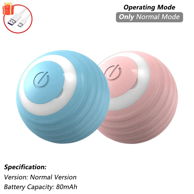 Interactive Ball Toy