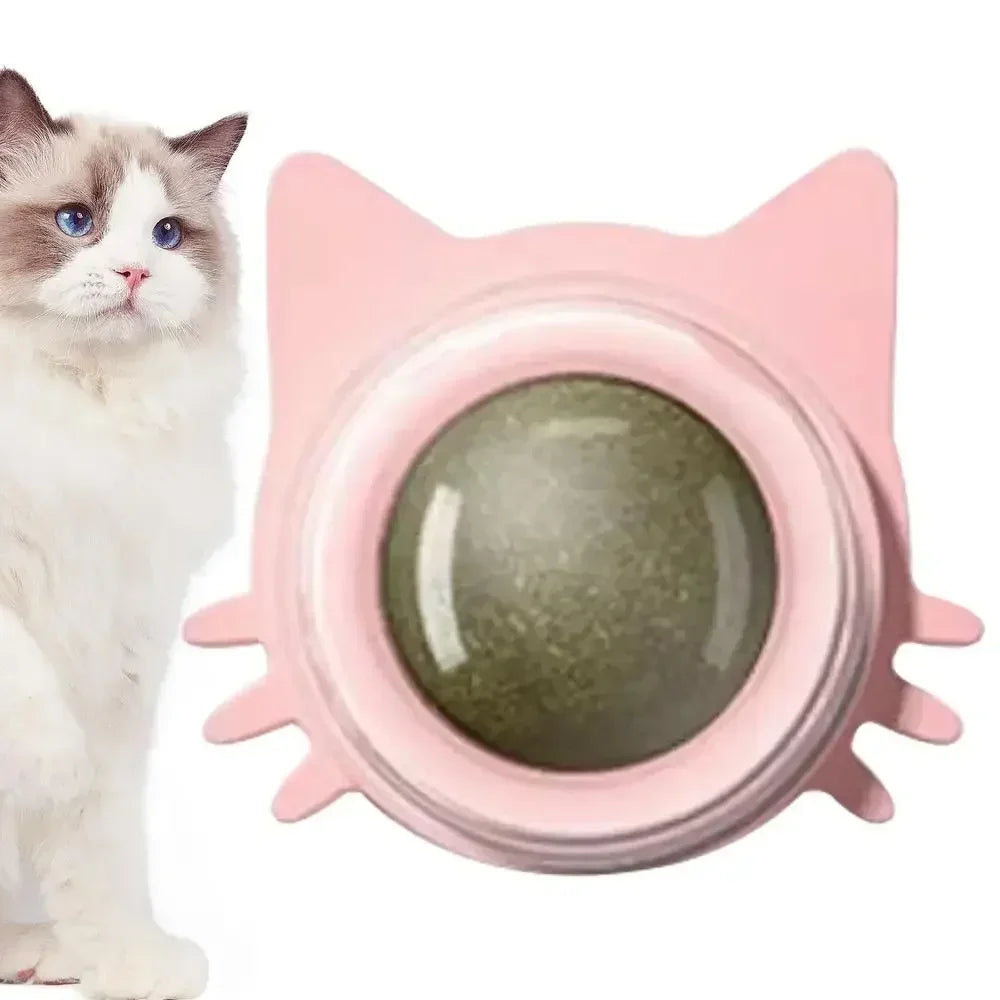 Catnip Balls Funny