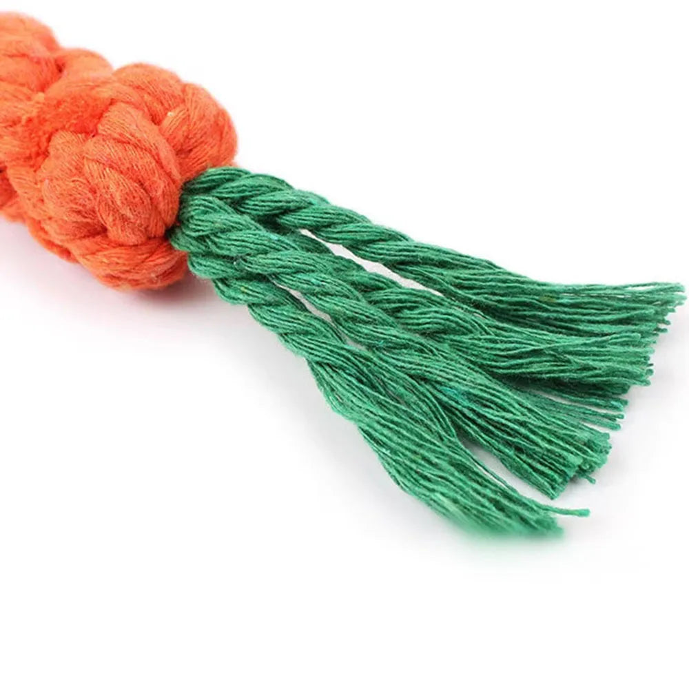Wicker Chew Toy for Dogs