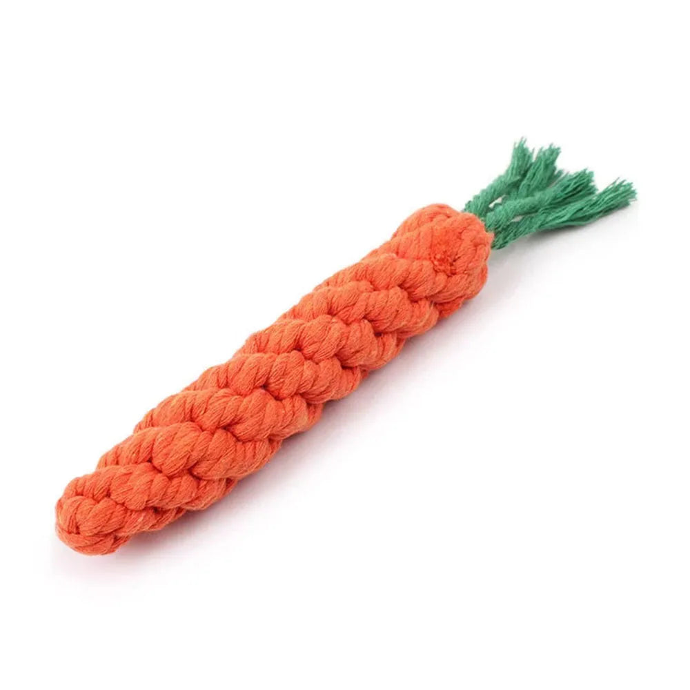 Wicker Chew Toy for Dogs
