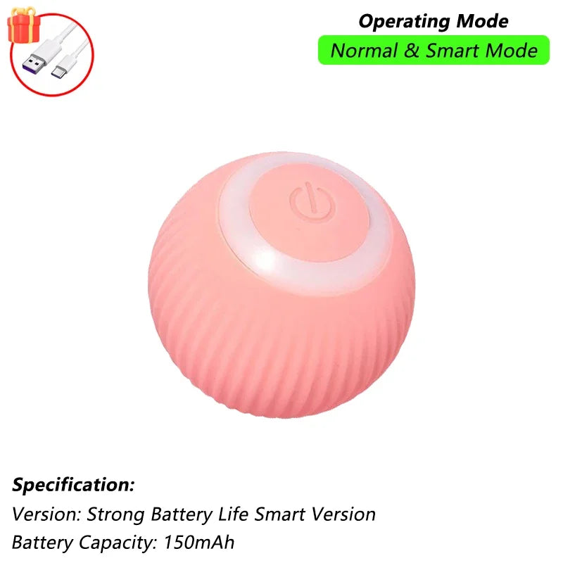 Interactive Ball Toy