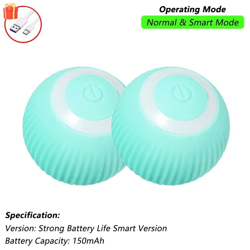 Interactive Ball Toy