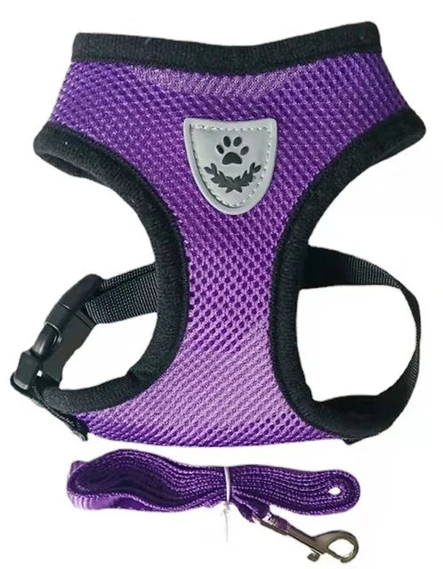 Harness with Lead Leash
