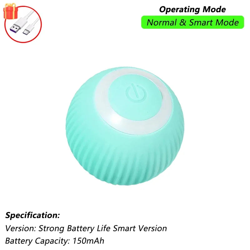 Interactive Ball Toy