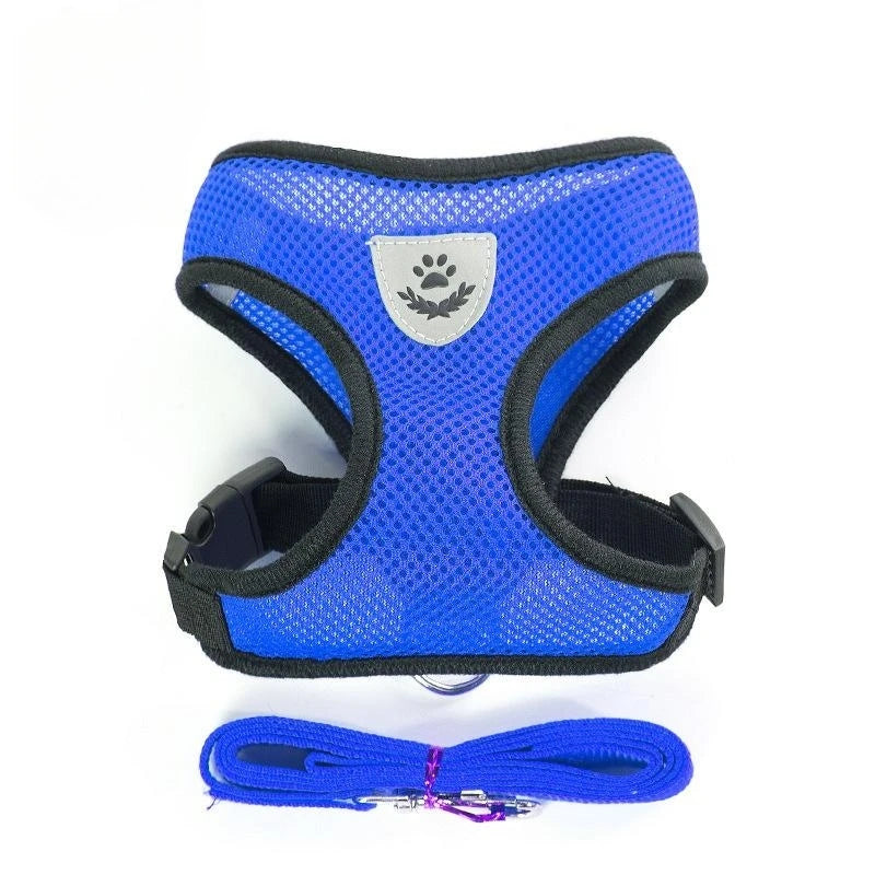 Harness with Lead Leash