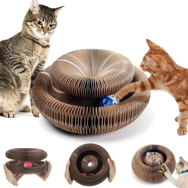 Magic Cat Scratch