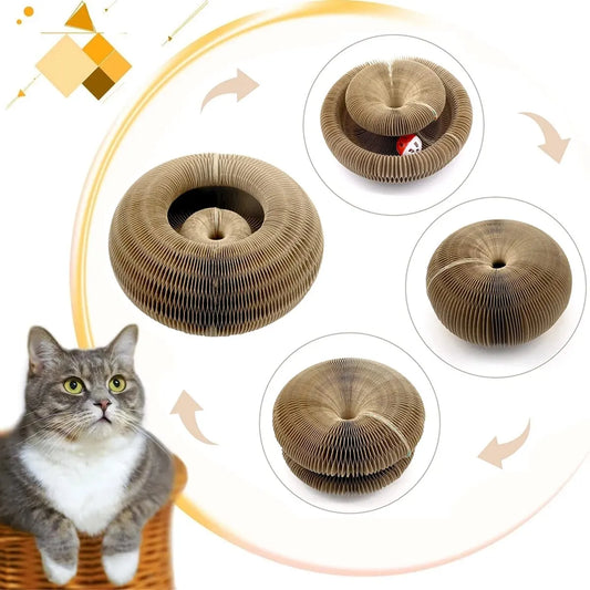 Magic Cat Scratch