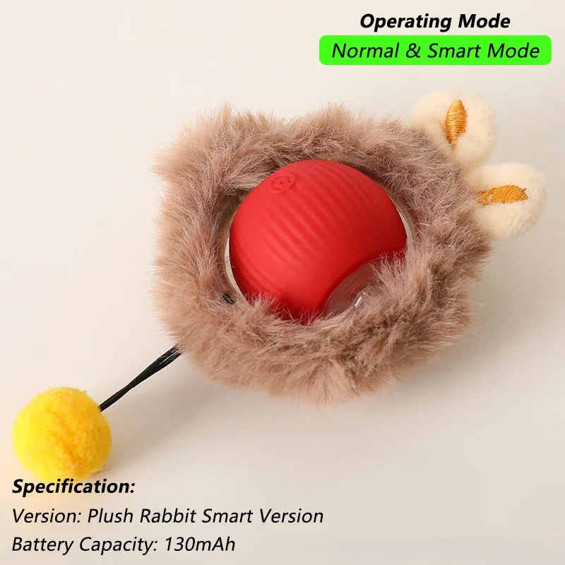 Interactive Ball Toy