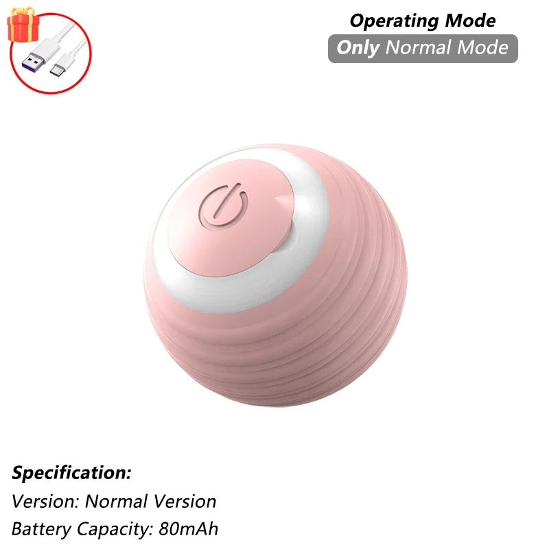 Interactive Ball Toy