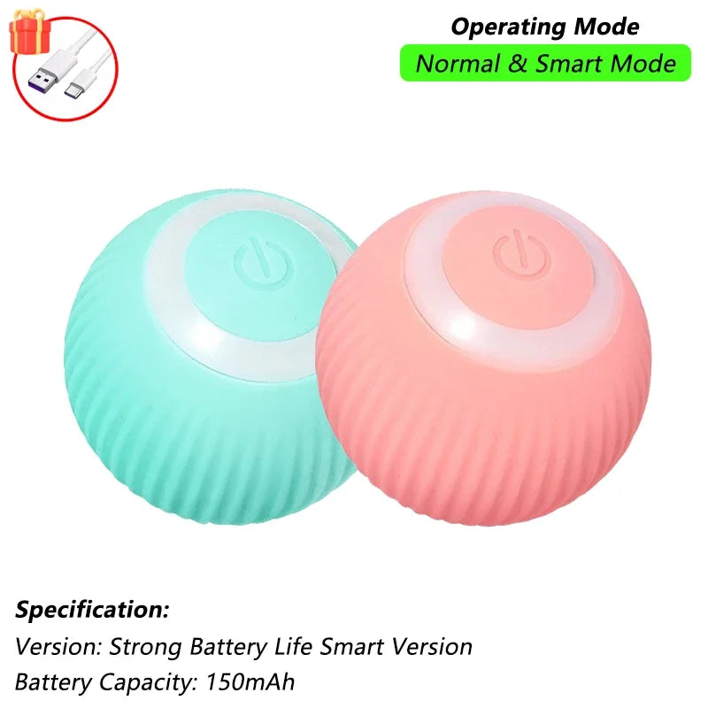 Interactive Ball Toy