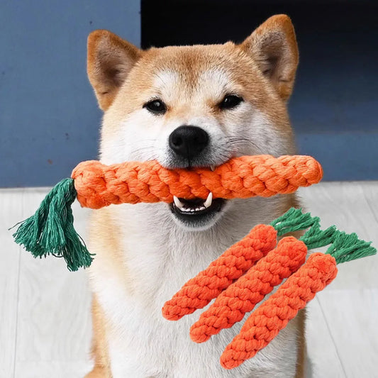 Wicker Chew Toy for Dogs